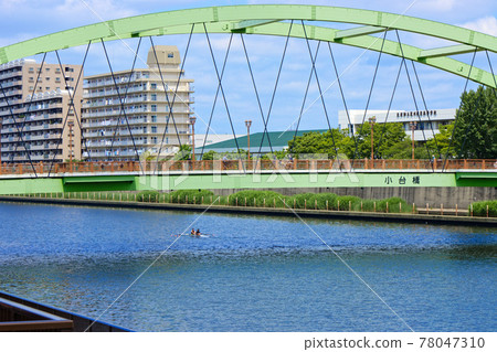 台橋和隅田川上的藍天,兩人座皮划艇 台橋和隅田川上的藍天,兩人座皮划艇 78047310