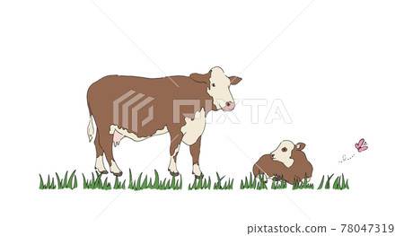 Illustration of a cow on the ranch-hand-drawn line drawing 78047319