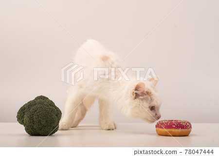The cat chooses between correct and unhealthy food on a white background. Donut or broccoli 78047444