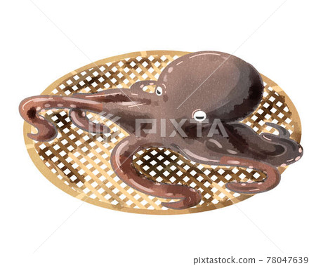 Octopus colander watercolor style Octopus colander watercolor style 78047639