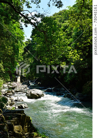 [Fresh green image] Settsukyo Gorge 78048161