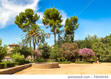 Gardens in Alhambra palace in Granada 78048484
