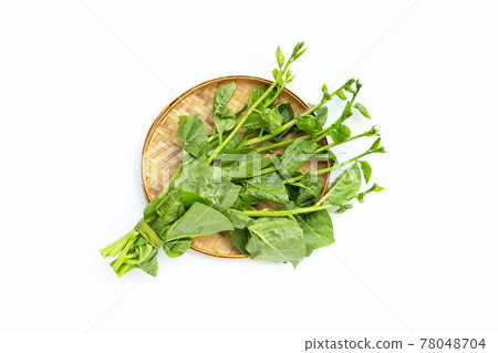 Ceylon Spinach leaves in bamboo basket on white background. 78048704