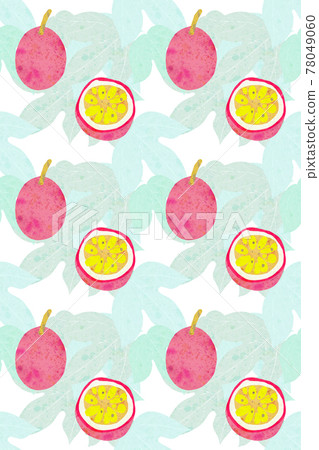 Rustic hand-drawn illustration of passion fruit Rustic hand-drawn illustration of passion fruit 78049060