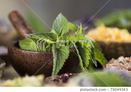 Natural remedy and mortar, healing herbs background Natural remedy and mortar, healing herbs background 78049363
