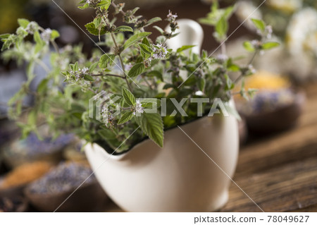 Natural remedy, mortar and herbs Natural remedy, mortar and herbs 78049627