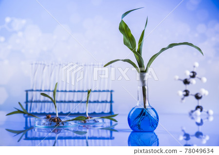 Biotechnology, Chemical laboratory glassware Biotechnology, Chemical laboratory glassware 78049634