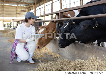 Young dairy farmer working on a ranch 78049724