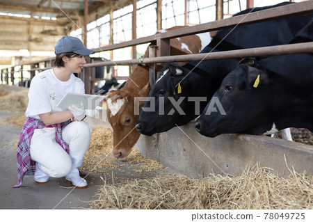 Young dairy farmer working on a ranch 78049725
