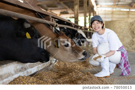 Young dairy farmer working on a ranch 78050013
