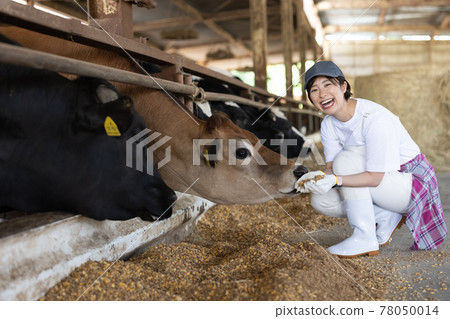 Young dairy farmer working on a ranch 78050014