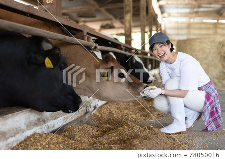 Young dairy farmer working on a ranch 78050016