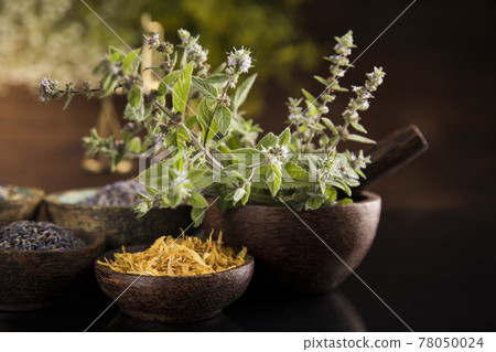Black mirror background, Natural remedy, healing herbs Black mirror background, Natural remedy, healing herbs 78050024