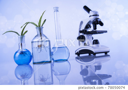 Biotechnology concept, Plant laboratory experimental 78050074