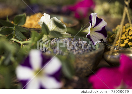 Natural remedy, healing herbs background Natural remedy, healing herbs background 78050079