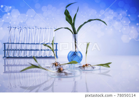 Chemistry equipment, plants laboratory experimental Chemistry equipment, plants laboratory experimental 78050114