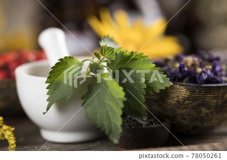 Natural remedy, healing herbs background Natural remedy, healing herbs background 78050261