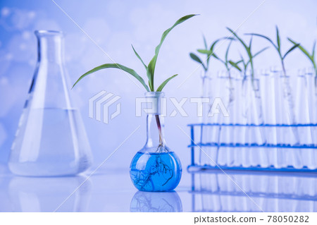 Chemical laboratory glassware, Genetically modified plant 78050282