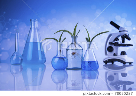 Microscope, Laboratory glassware, plant laboratory experimental Microscope, Laboratory glassware, plant laboratory experimental 78050287