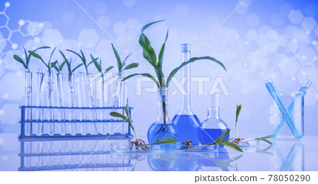 Biotechnology concept, Plant laboratory experimental Biotechnology concept, Plant laboratory experimental 78050290