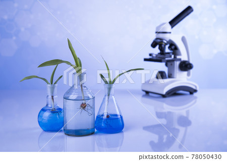 Microscope, Laboratory glassware, plant laboratory experimental Microscope, Laboratory glassware, plant laboratory experimental 78050430