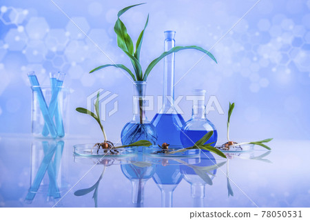 Biotechnology concept, Plant laboratory experimental Biotechnology concept, Plant laboratory experimental 78050531