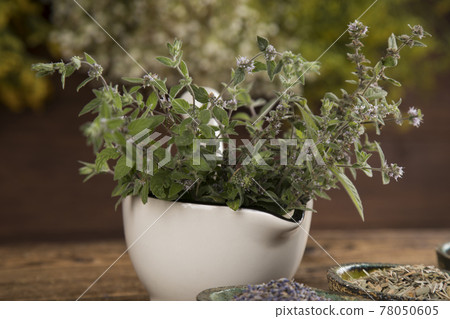 Homeopathy, herbal medicine on wooden table Homeopathy, herbal medicine on wooden table 78050605