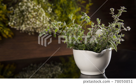 Black mirror background, Natural remedy, healing herbs Black mirror background, Natural remedy, healing herbs 78050851