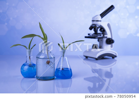 Microscope, Laboratory glassware, plant laboratory experimental Microscope, Laboratory glassware, plant laboratory experimental 78050954