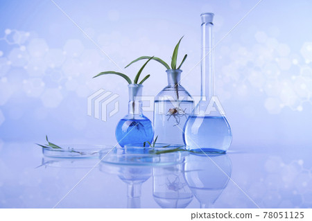 Biotechnology concept, Plant laboratory experimental Biotechnology concept, Plant laboratory experimental 78051125
