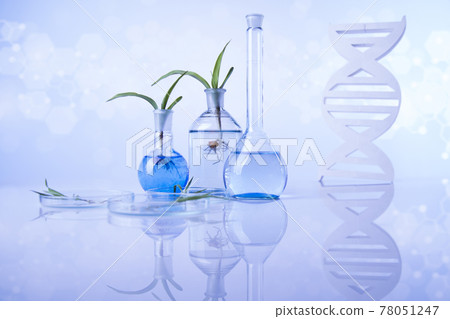 Chemical laboratory glassware, Genetically modified plant Chemical laboratory glassware, Genetically modified plant 78051247