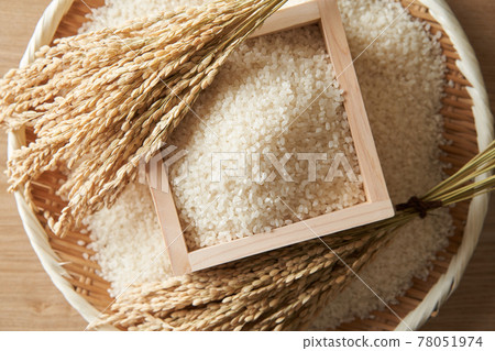 裝在盒子裡的白米飯 78051974