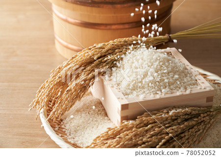 裝在盒子裡的白米飯 裝在盒子裡的白米飯 78052052