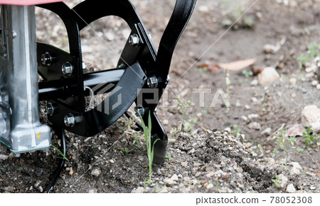 Image of starting a fun field 78052308