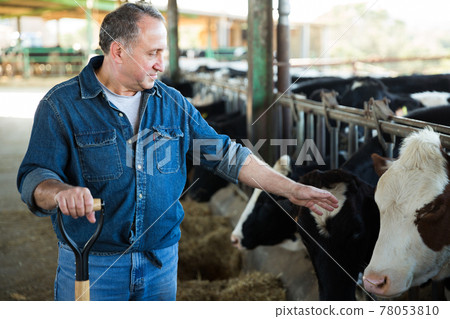 Confident man owner of dairy farm 78053810