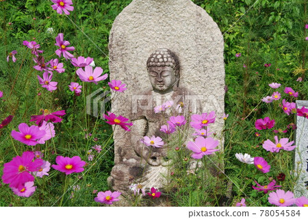 石佛和Kurokuji的宇宙 78054584