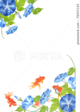 金魚和牽牛花水彩明信片尺寸 金魚和牽牛花水彩明信片尺寸 78055185
