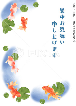 Summer sympathy for goldfish and water lilies Summer sympathy for goldfish and water lilies 78055188