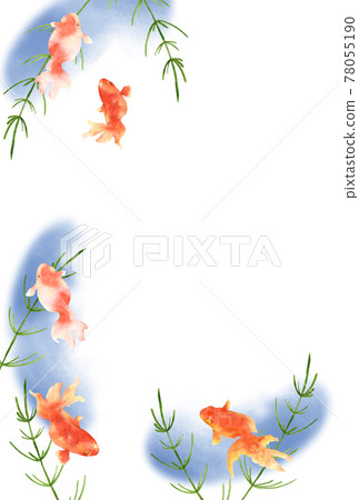 金魚和水草水彩明信片尺寸 金魚和水草水彩明信片尺寸 78055190