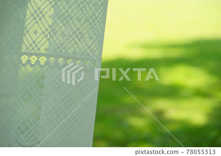 清新的綠色和蕾絲窗簾 78055313