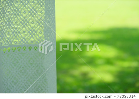 清新的綠色和蕾絲窗簾 78055314