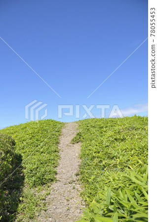 Summer landscape Summer landscape 78055453