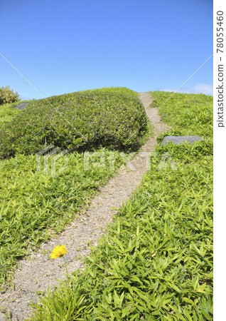 夏日風景 夏日風景 78055460