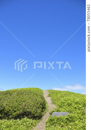夏日風景 夏日風景 78055461
