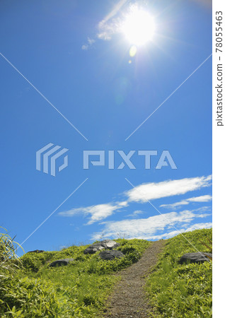 Summer landscape Summer landscape 78055463