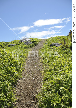 夏日風景 夏日風景 78055464