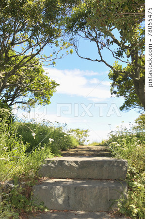夏日風景 夏日風景 78055475