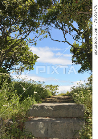 Summer landscape Summer landscape 78055476