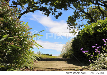 夏日風景 夏日風景 78055481