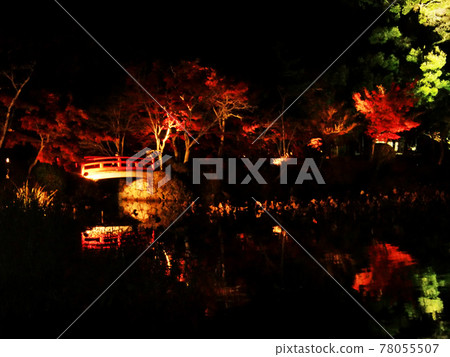 Illuminated autumn leaves at the temple at night Illuminated autumn leaves at the temple at night 78055507